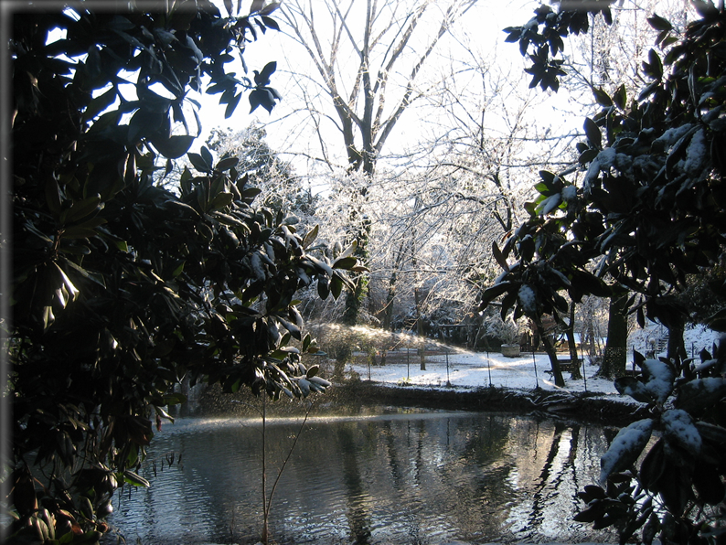 foto Parco Sebellin in Inverno